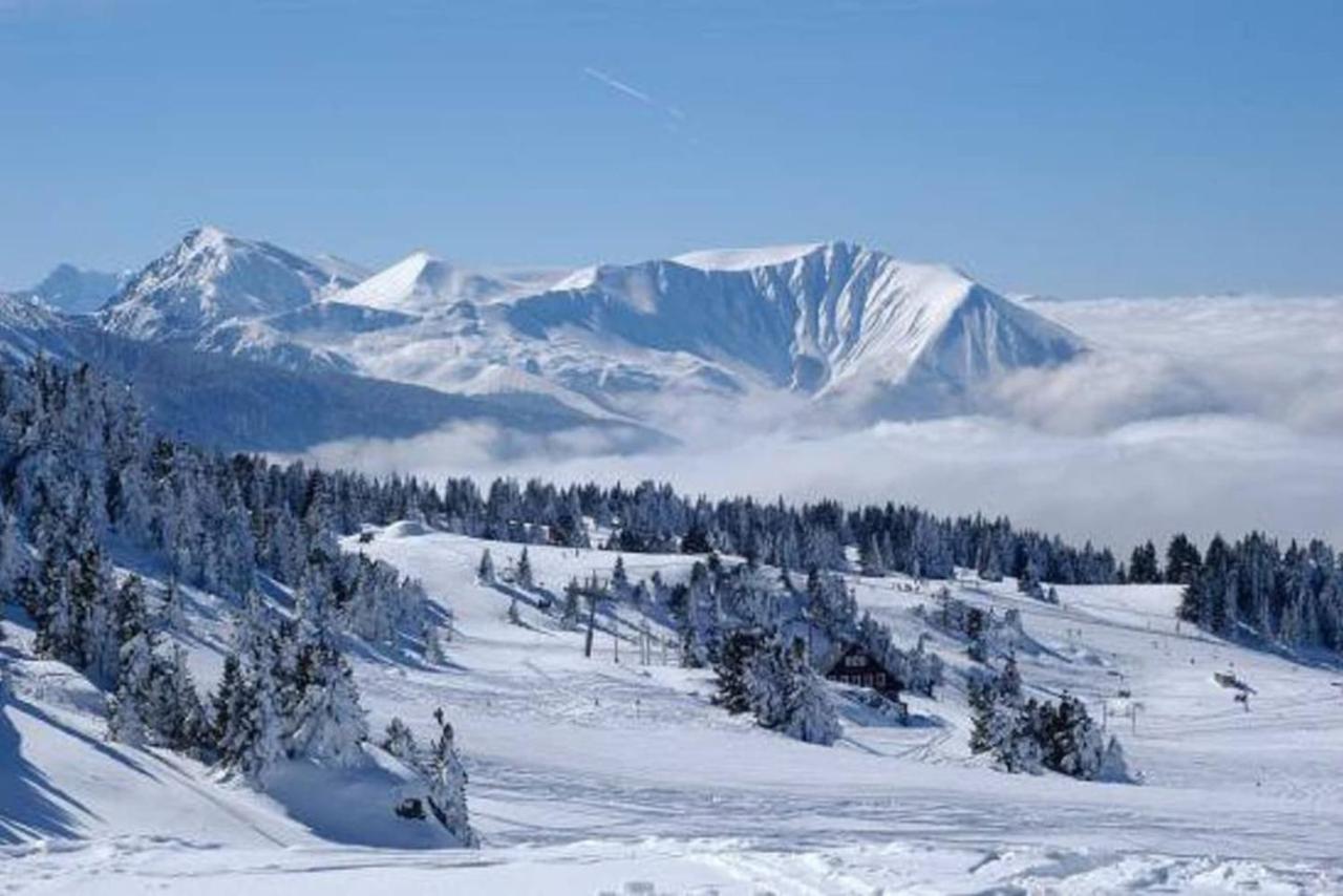 Charmant studio cabine COCOON à 100 m des pistes Chamrousse Esterno foto